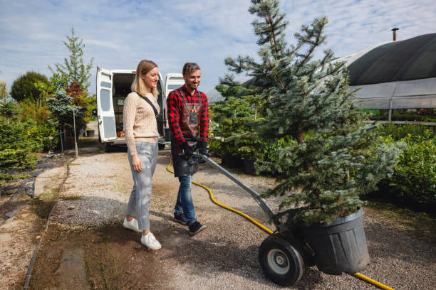 Professional Tree Services in Vernonia, OR